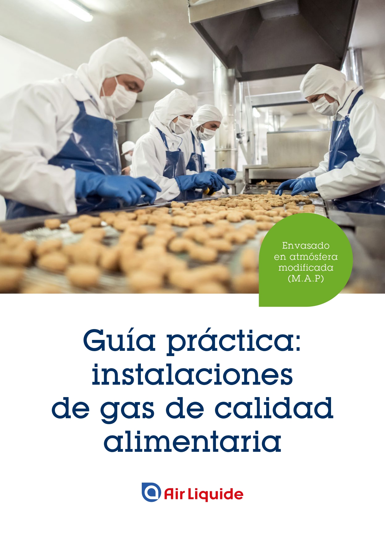 Guía técnica: todo lo que debe saber sobre la instalación de gas para el envasado en atmósfera protectora.