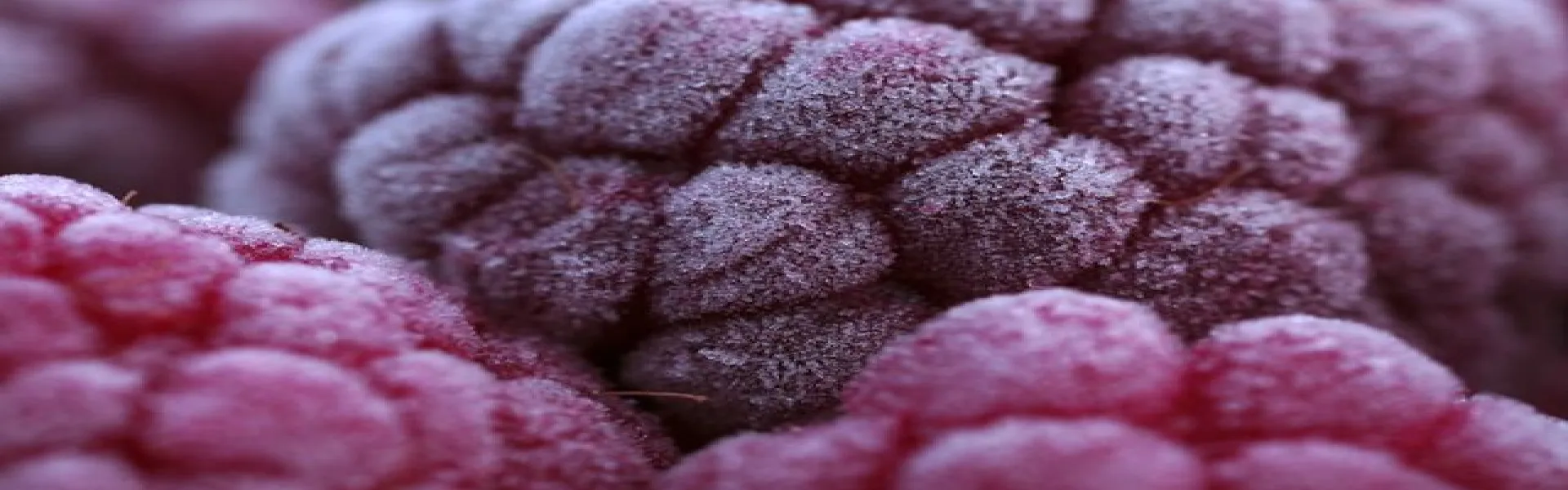 Criogenia alimentaria - refrigeración, congelación y transporte refrigerado