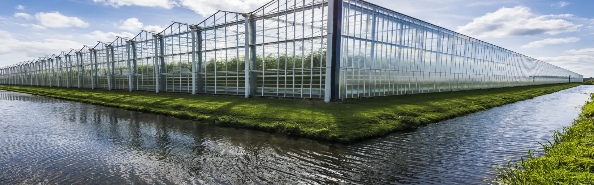 Enriquecimiento de CO2 en los invernaderos