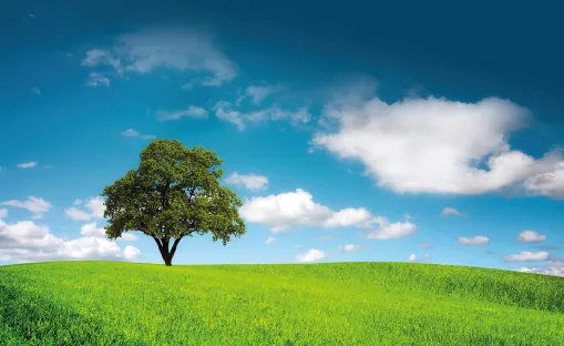 Racionalizar el impacto ambiental 