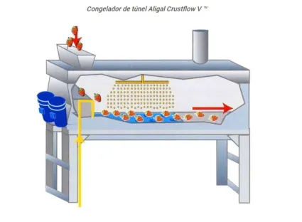 congelador criogénico tunel aligal