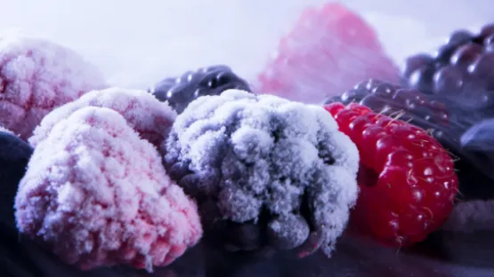 gases para refrigeracion y congelacion criogenica Air Liquide