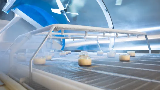 Criogenia alimentaria