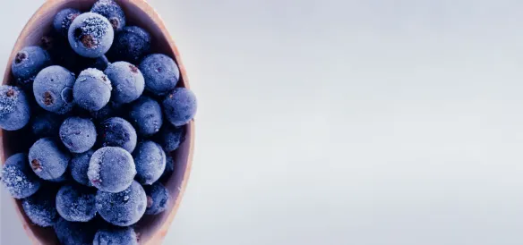 Ebook Augmenter la durée  de conservation  en maintenant  la qualité  des aliments