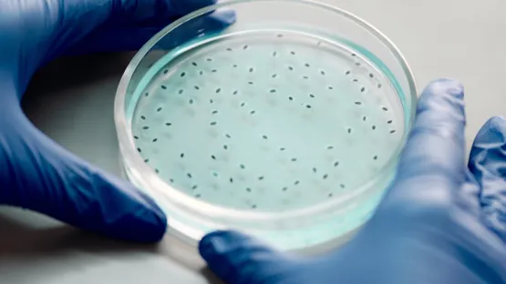 Gases farmacéuticos PHARGALIS Air Liquide