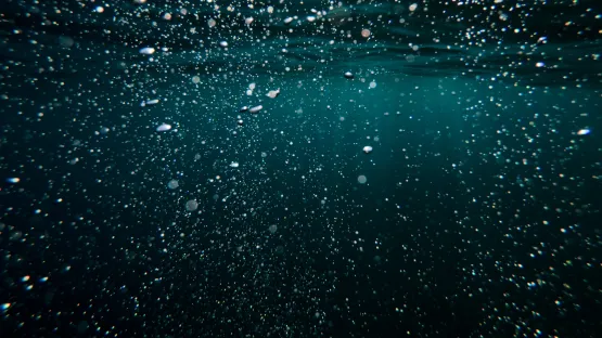 Descubra el Tratamiento biológico de aguas