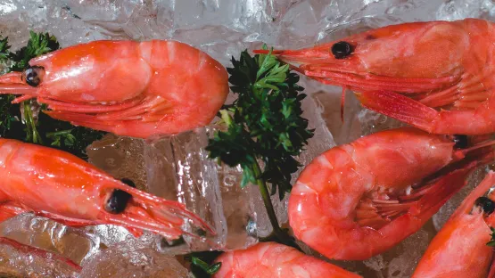 Conservación mariscos