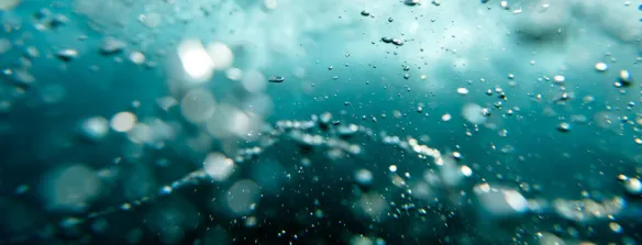 Air Liquide realiza una inversión estratégica en la producción de hidrógeno descarbonizado por electrólisis