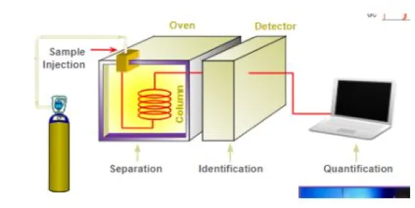 Principio de la cromatografía de gases