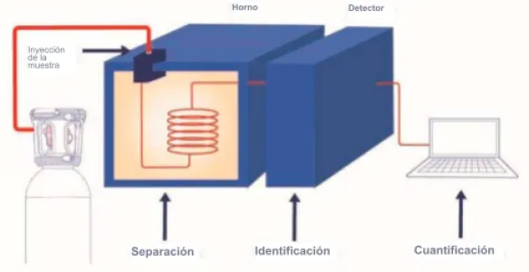 Principio de la cromatografía de gases