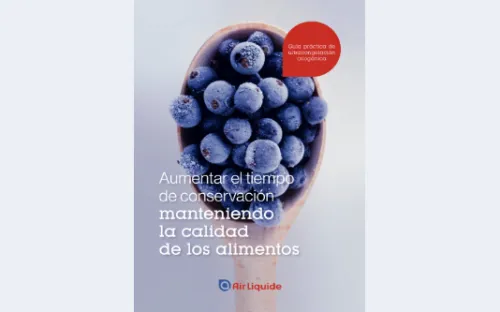 Aumentar el tiempo de conservacion manteniendo la calidad de los alimentos ebook
