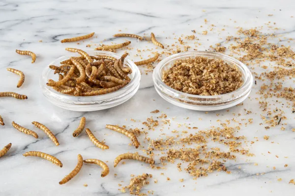 ingredients_insects_Air Liquide