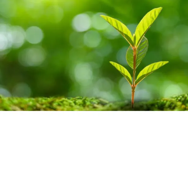 Air Liquide refuerza su inversión en start-up de impacto a través de ALIAD