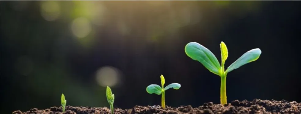 A Air Liquide está se associou com a Rothschild & Co e a Fundação Solar Impulse para lançar um fundo de investimento de 200 milhões de euros