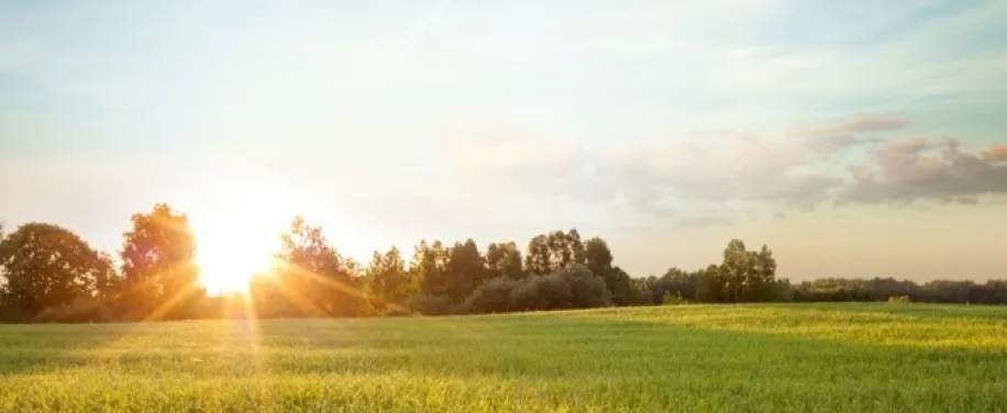 La trayectoria de reducción de CO2 de Air Liquide para 2035 está validada por la iniciativa Science Based Targets (SBTi)